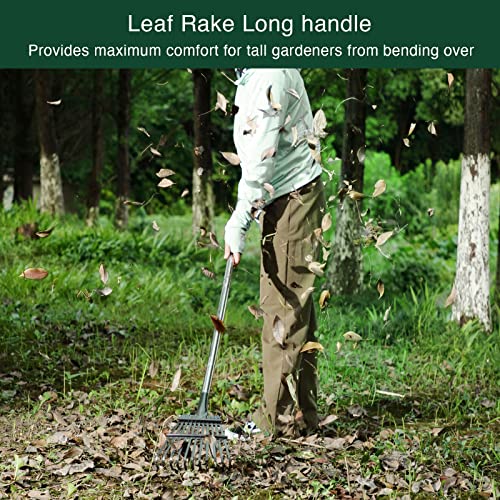 Rake for Leaves