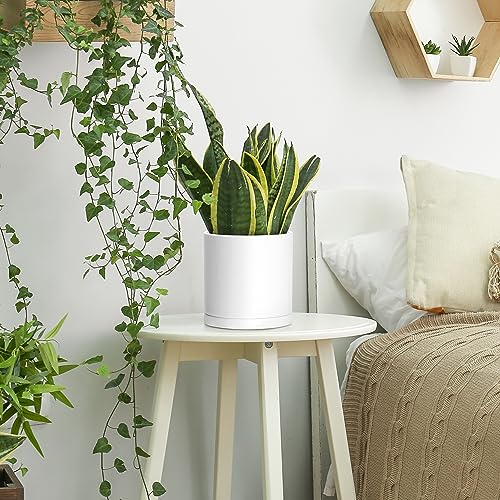 4 Pack White Plastic Planters with Saucers (4 Count)