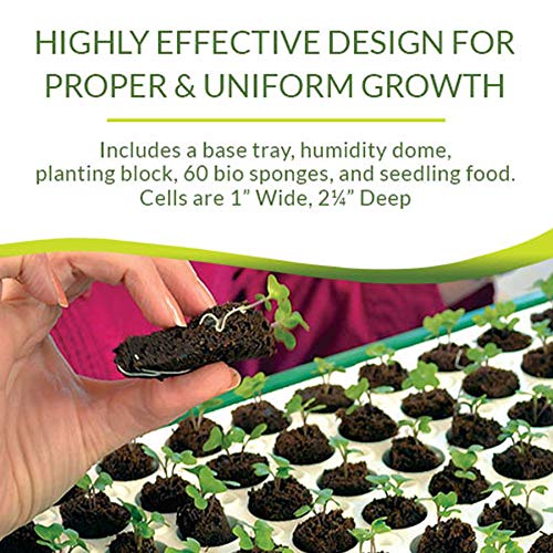 Bio Dome Seed Starter Kit with 60 Cell Planting Block