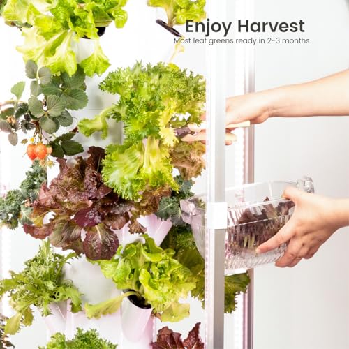 Vertical Hydroponics Growing System Kit
