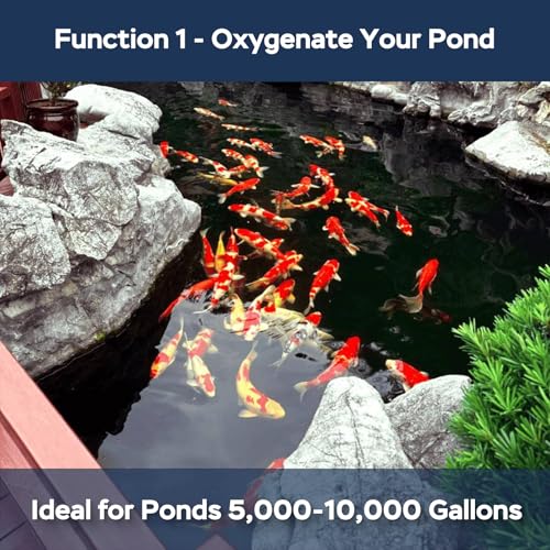 All-in-1 Koi Pond Aeration Kit Pond Air Pump with Self-Sinking Airline Rubber Air Diffuser, Air Flow Control Pond Aerator for Outdoor Pond 5,000-10,000 Gallons