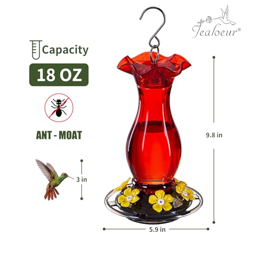 Hummingbird Feeder for Outdoors Hanging