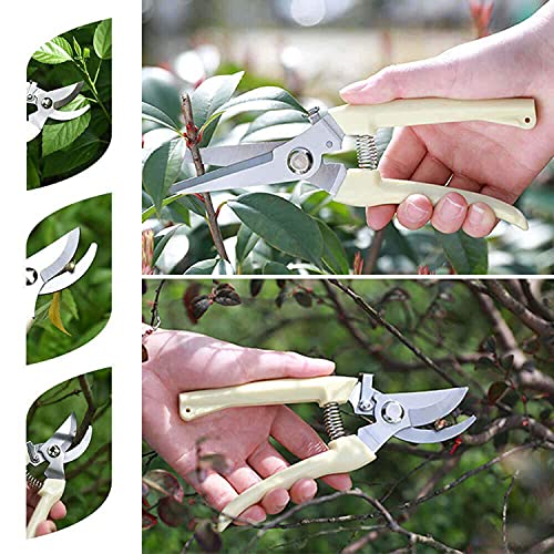 Premium garden shears (Red)