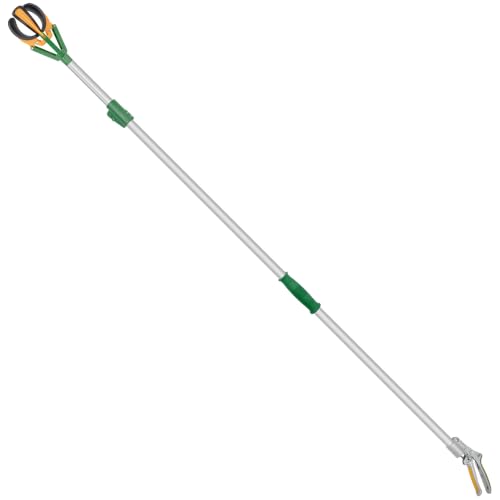 Long Reach Telescopic Fruit Picker (10 Feet)