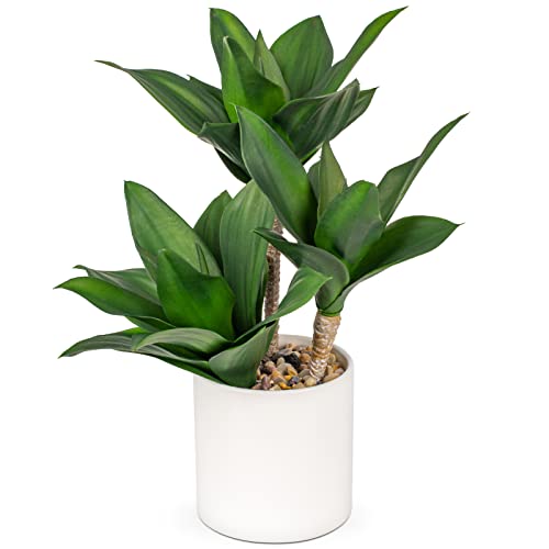 Large Artificial Agave Plants Fake Three