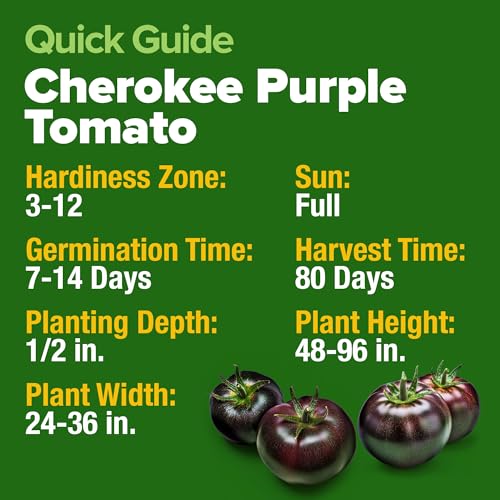 Cherokee Purple Tomato Seeds (2 Count)