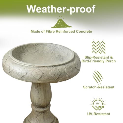 Pedestal Birdbath for Garden (23.2inch / Antique Stone Gray)