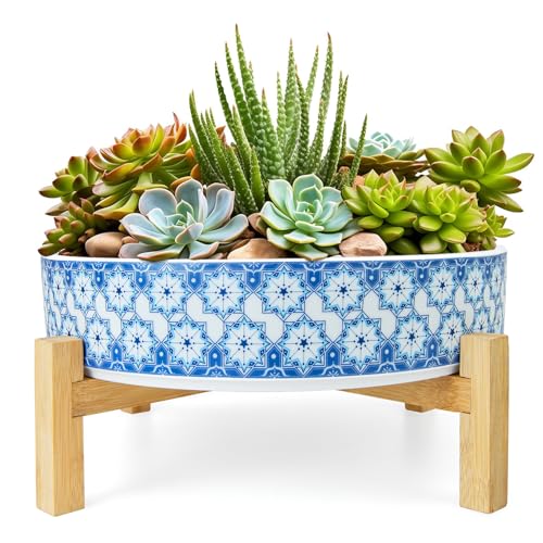 Succulent Pots (Floral 2)