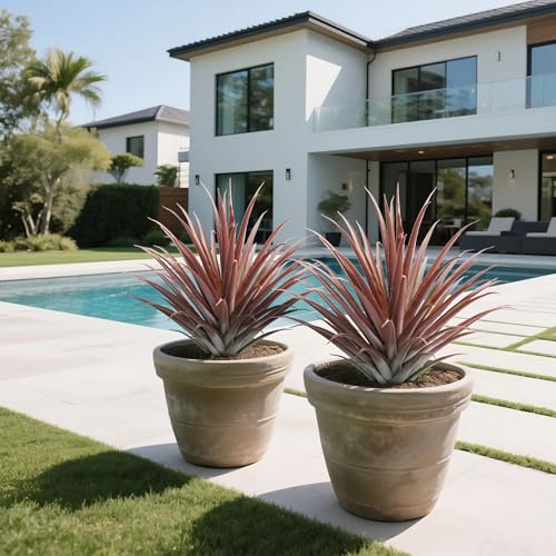 2 Pcs Artificial Aloe Vera Plants 27 Inch Red Fake Succulents Faux Agave Plant Potted for Indoor Outdoor Home Office Decor (2 Count)