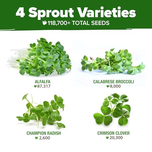 Premium Sprouting Seeds Mix (16 Ounce)