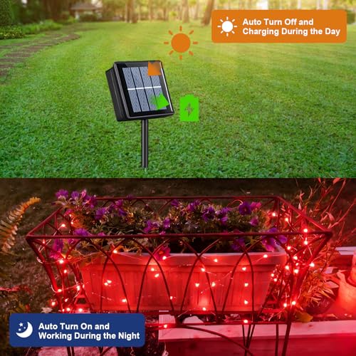 4 Pack Solar Fairy Lights (33 Foot)