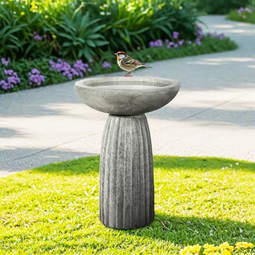 Modern Bird Bath