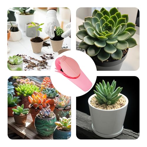 6Pcs Mini Succulent Tools Set (6 Count)