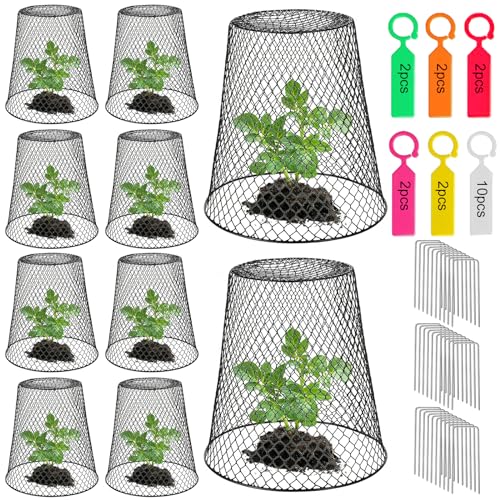 10 Pack 9.13"×9.13" Chicken Wire Cloche Plant Covers (20 Count)