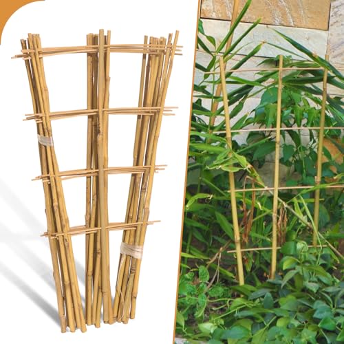 10 Pack 2ft Bamboo Trellis for Climbing Plants