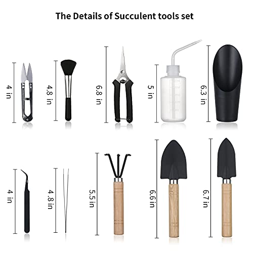 11Pcs Succulent Tools