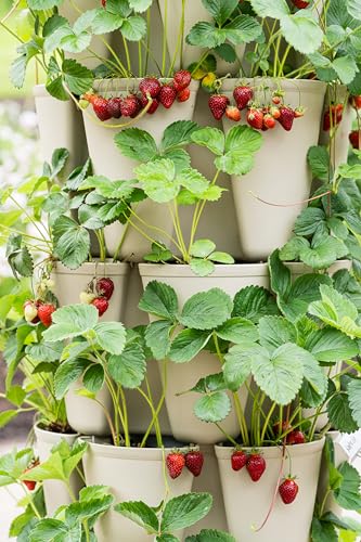 Patented Large 5 Tier Vertical Garden Planter with Patented Internal Watering System Great for Growing a Variety of Strawberries