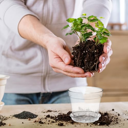 4 Inch Clear Nursery Pots (30 Count)