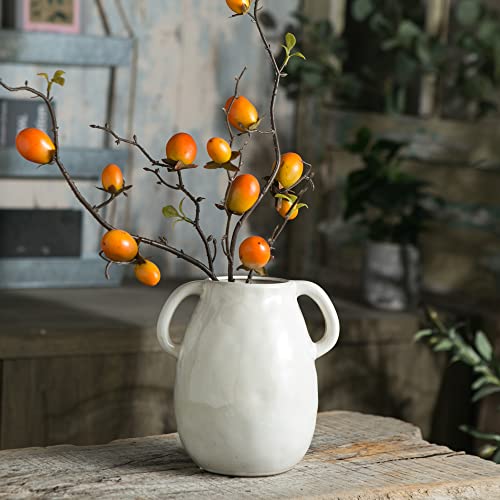 White Ceramic Vase with Handles