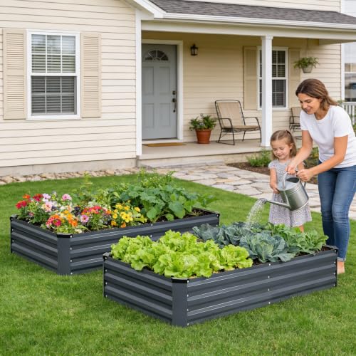 Galvanized Raised Bed (Gray / 6x3x1ft(2 pack))
