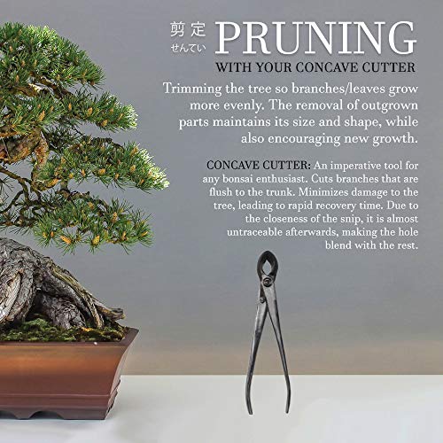 Bonsai Tool Kit