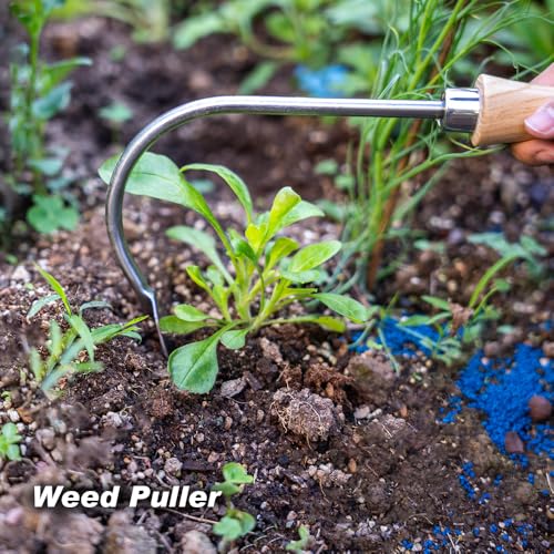 Weed Puller Crack Weeder Cultivator Garden Hand Tool