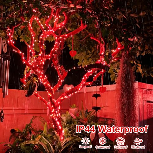 4 Pack Solar Fairy Lights (33 Foot)