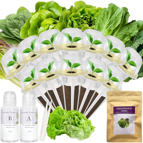Salad Greens Seed Pod Kit for AeroGarden (12-pod / salad greens)