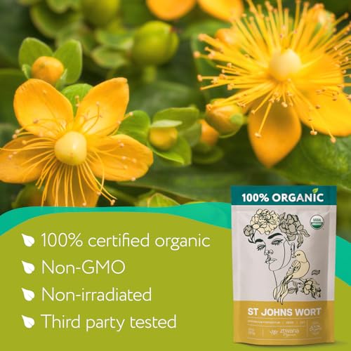 St Johns Wort Tea Organic