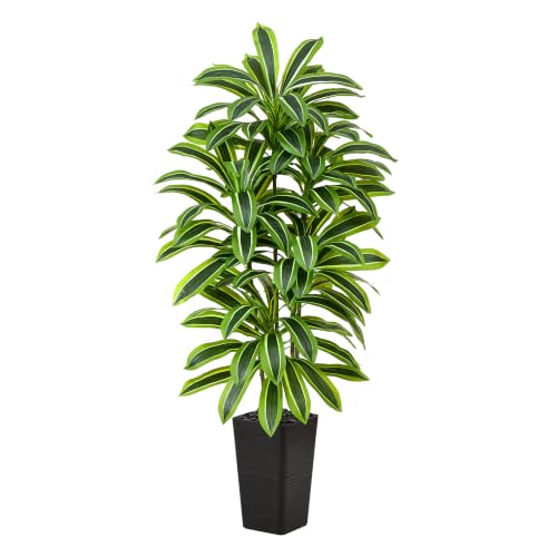 Artificial Dracaena Tree (Light Green – Black Pot / 6FT)