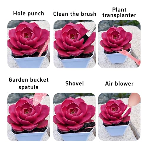 6Pcs Mini Succulent Tools Set (6 Count)