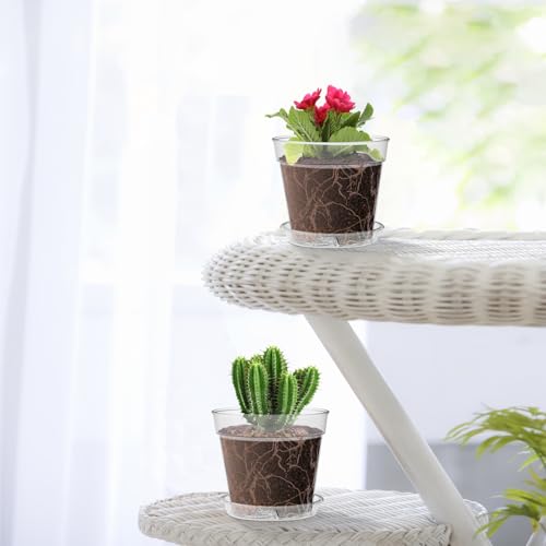 4 Inch Clear Nursery Pots (30 Count)