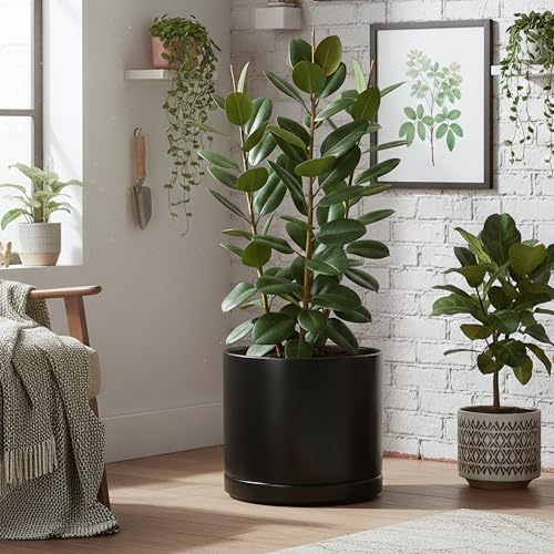 16 Inch Ceramic Planter Pot (XXX-Large / Black)