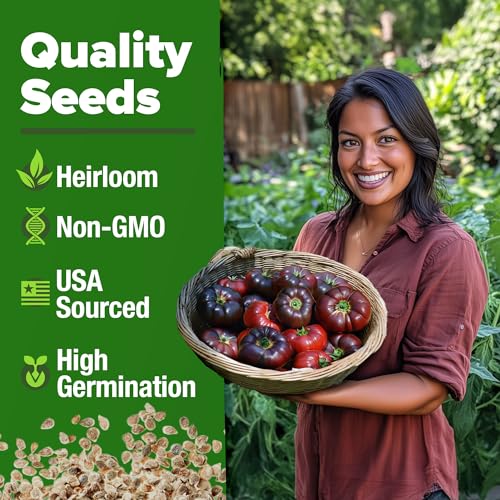 Cherokee Purple Tomato Seeds