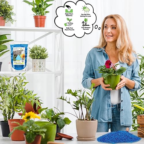 20-20-20 Water-Soluble Fertilizer – Powder for Liquid Plant Food for Indoor & Outdoor Plants, Orchids, Vegetables, Lawns, Flowers – 20 20 20 Fertilizer (20 QUARTS) (20 quarts / 20-20-20 Water-Soluble Fertilizer)