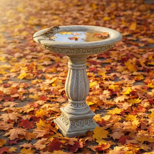 23.8 Inch High Concrete Bird Bath with Carved Pedestal