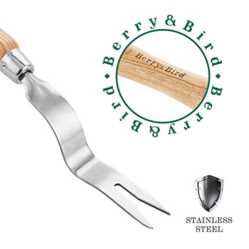 Hand Weeder Tool