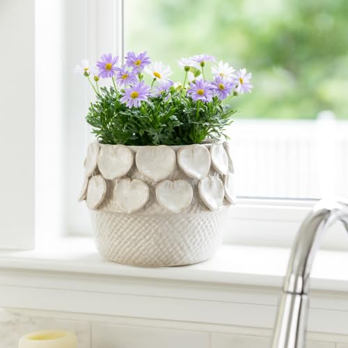 Flower Pots for Home Decor (Ivory / 8")