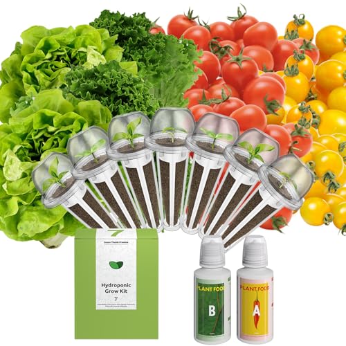 Organic Salad Green Seed Pod Kit for AeroGarden (7 Count)