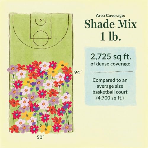 Shade Bulk Wildflower Seeds (16 Ounce)