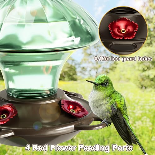Glass Hummingbird Feeders for Outdoors Hanging