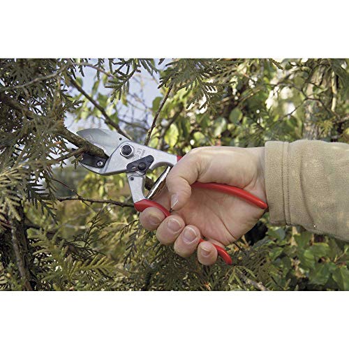 F31 Pruning Shears