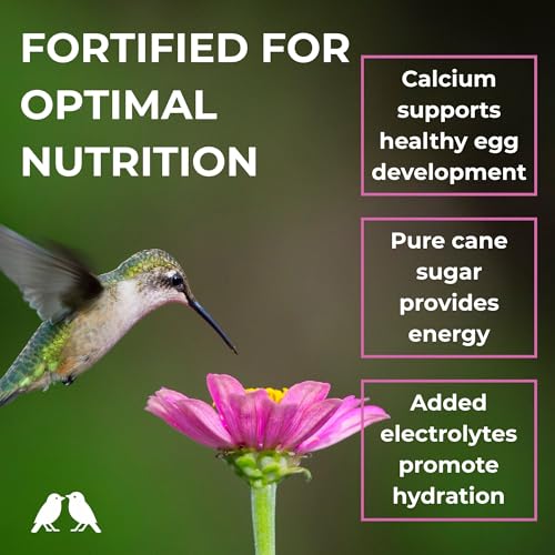 Hummingbird Nectar Powder Nectar+ Hummingbird Food for Feeders (21 Ounce)