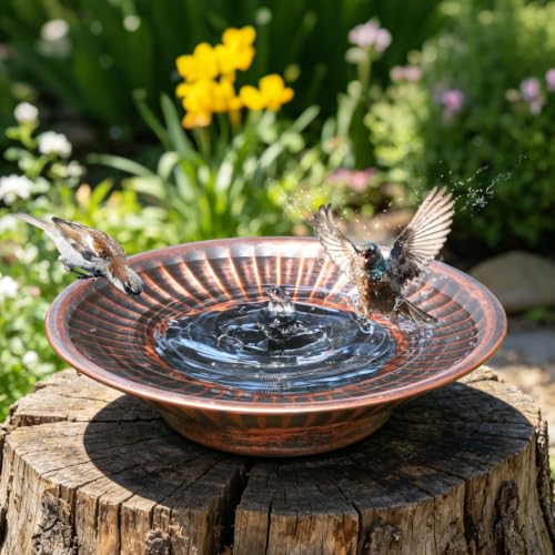 12.3" Solar Bird Bath Bowl