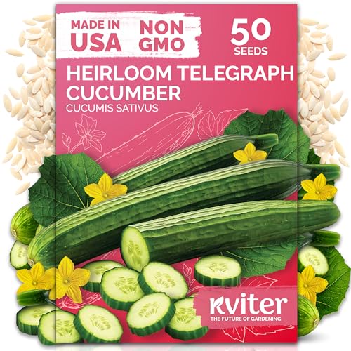50 English Telegraph Cucumber Heirloom Vegetable Seeds