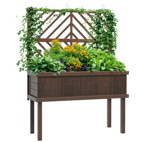 Raised Garden Bed with Trellis for Climbing Plants