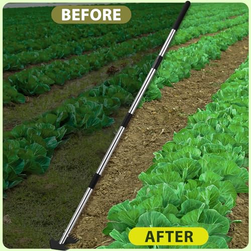 Hoe Garden Tool