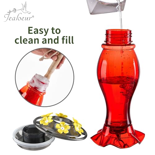 Hummingbird Feeder for Outdoors Hanging