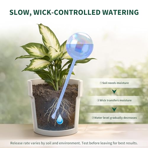 13 oz Up to 2 Weeks Extra Large Plant Self Watering Globes (XL (13 oz) – 4 Pack)
