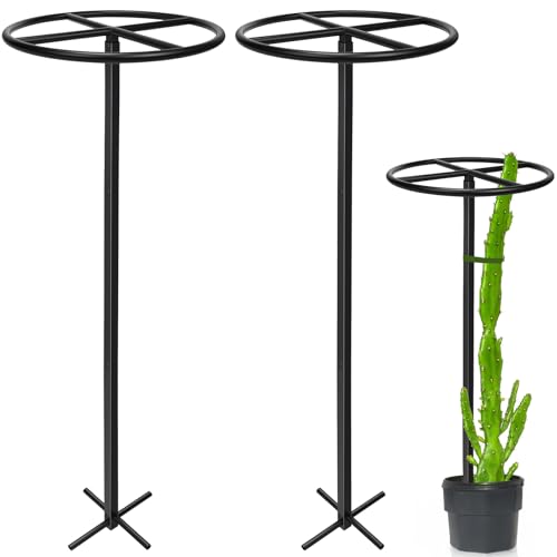 2 Pcs Heavy Duty Dragon Fruit Trellis (2 Pcs Round)